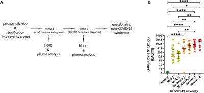 Remodeling of T Cell Dynamics During Long COVID Is Dependent on Severity of SARS-CoV-2 Infection